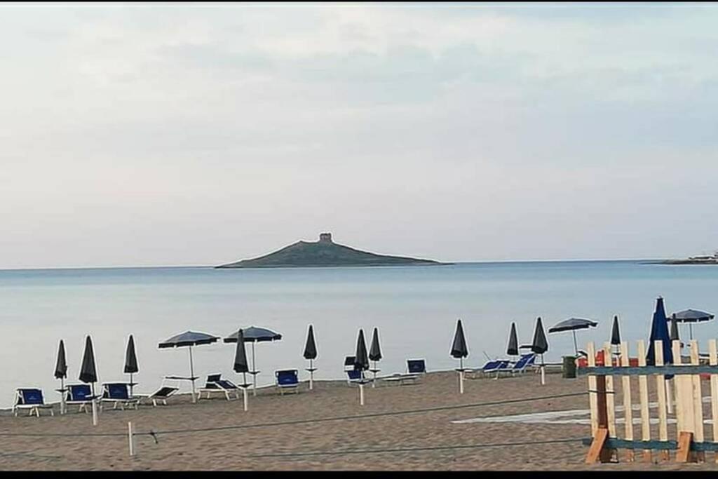 Appartamento Incantevole 90 Mq A Due Passi Mare Mozzafiato Изола-делле-Феммине Экстерьер фото
